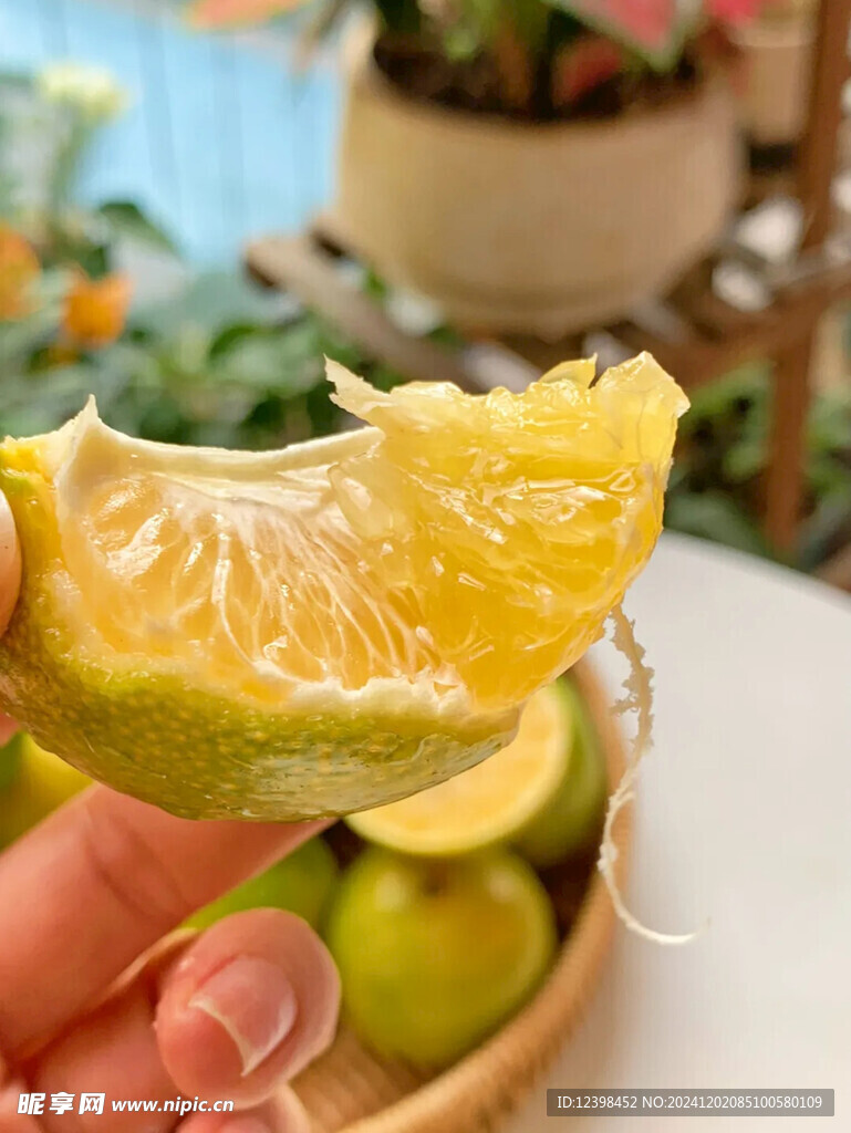脐橙
