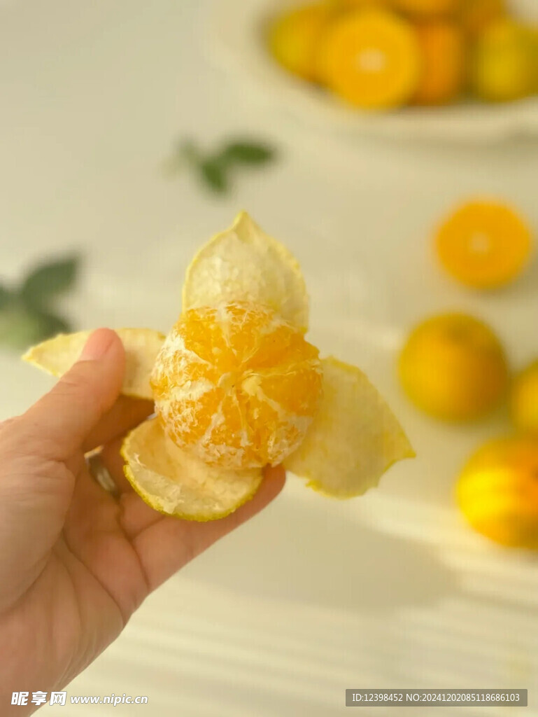 脐橙