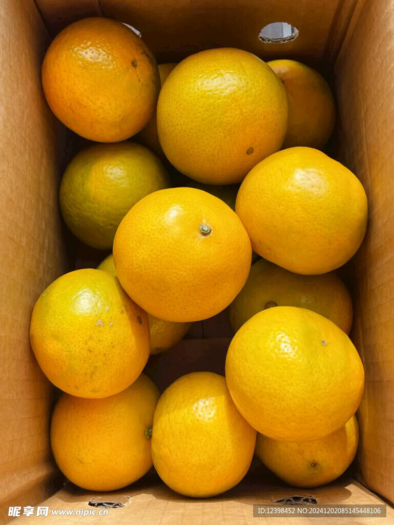 脐橙