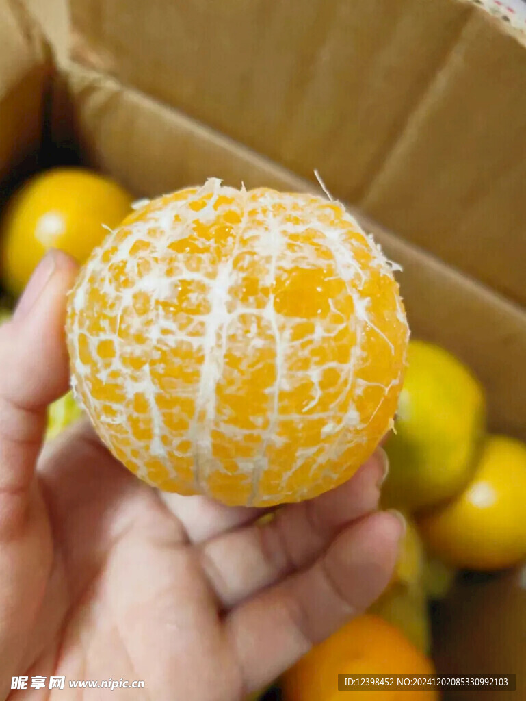 脐橙