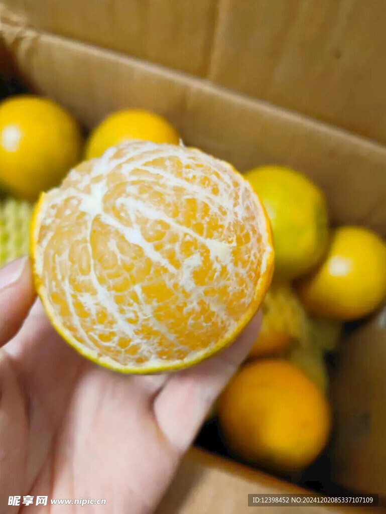 脐橙