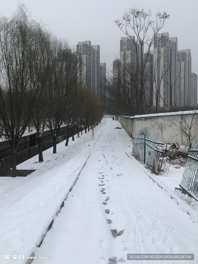 冬日雪景风景