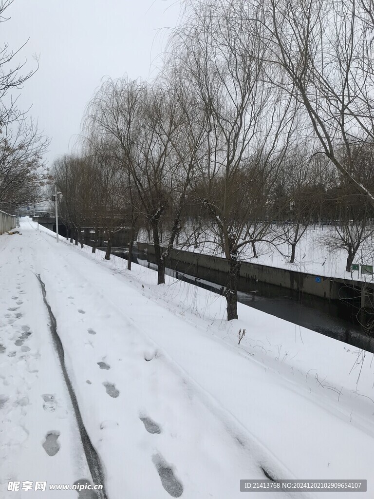 冬日雪景