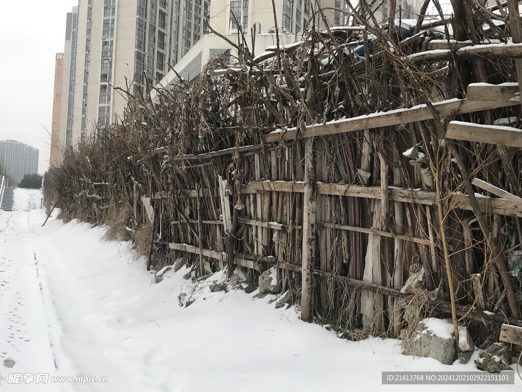 冬日雪景