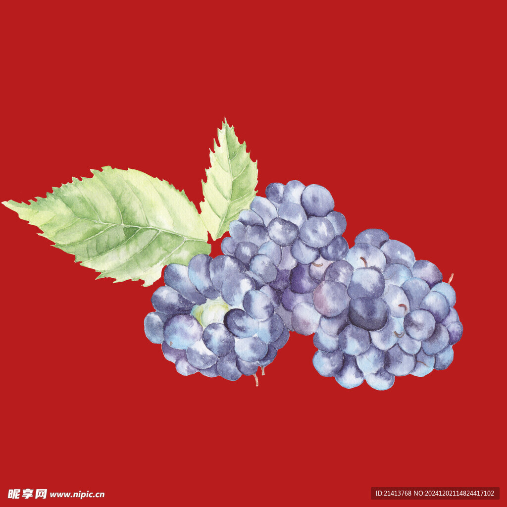 水果覆盆子