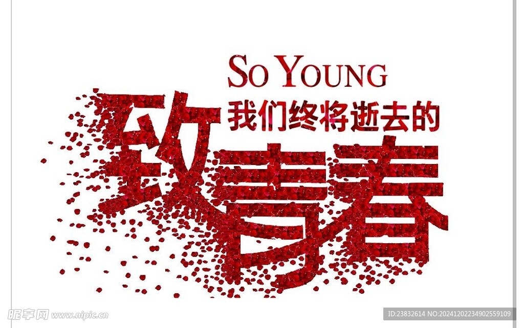 致青春