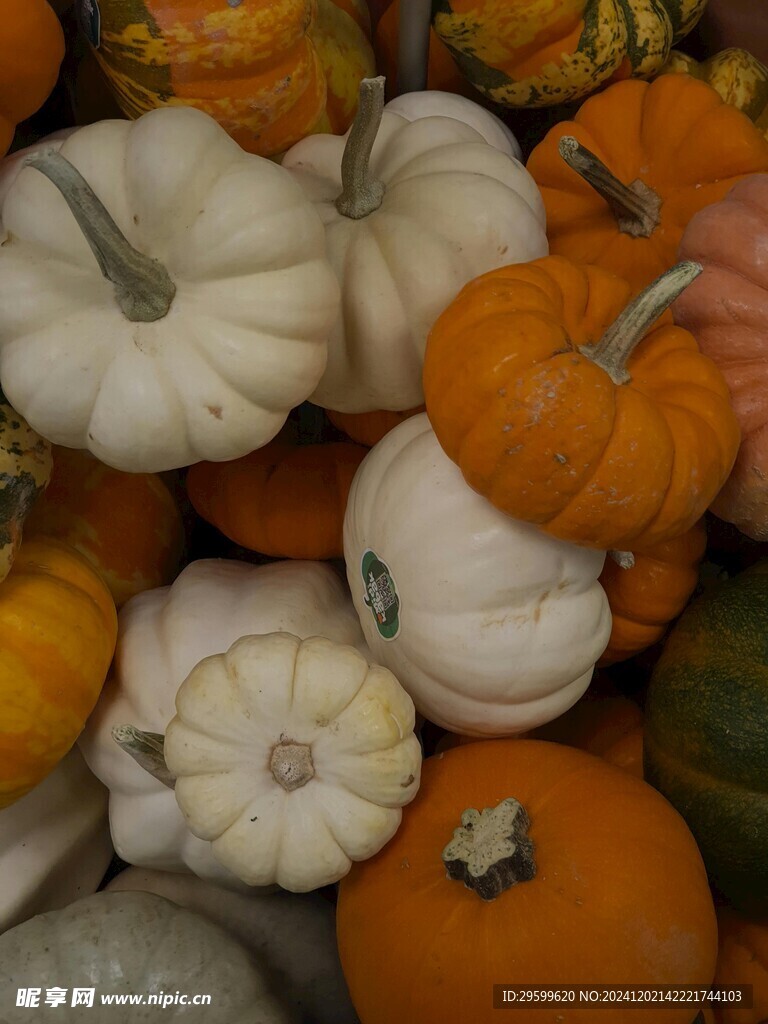 南瓜  