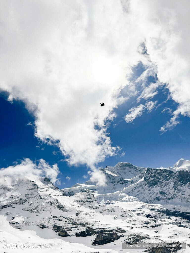 雪山  