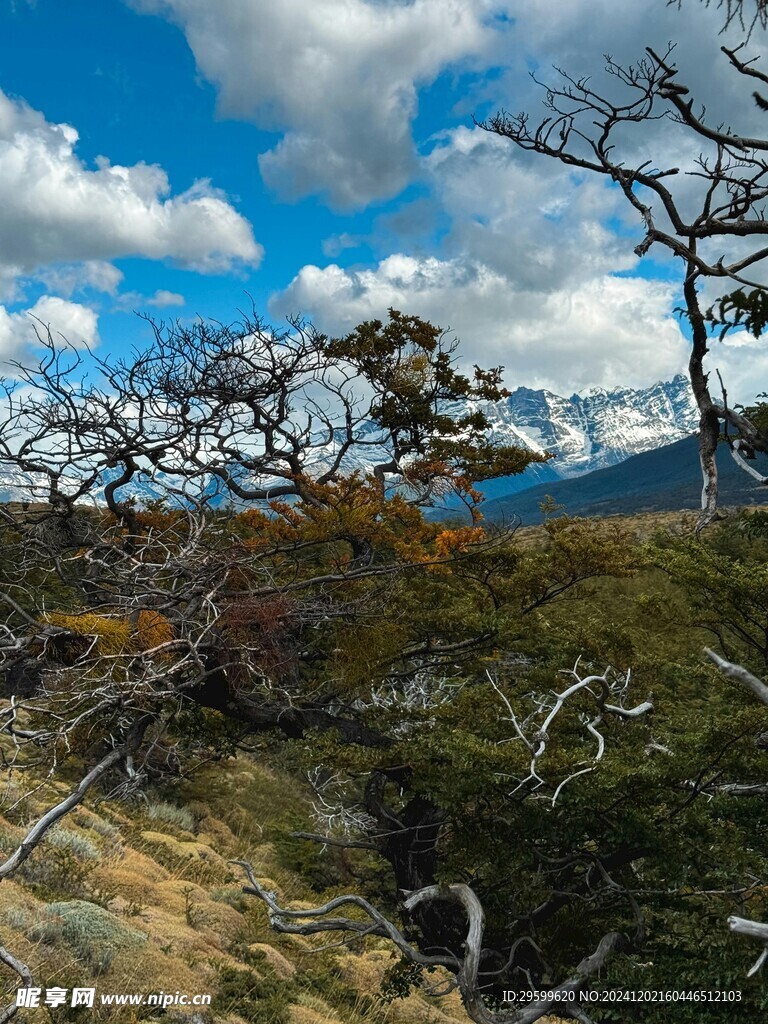 雪山  