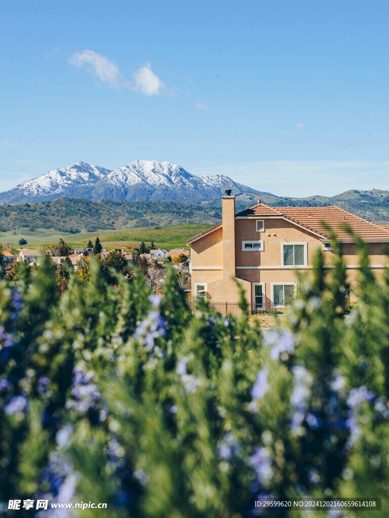 雪山  