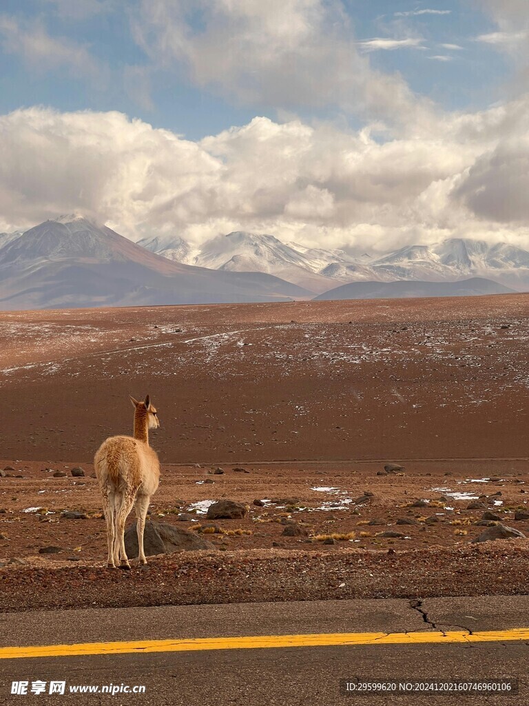 雪山 