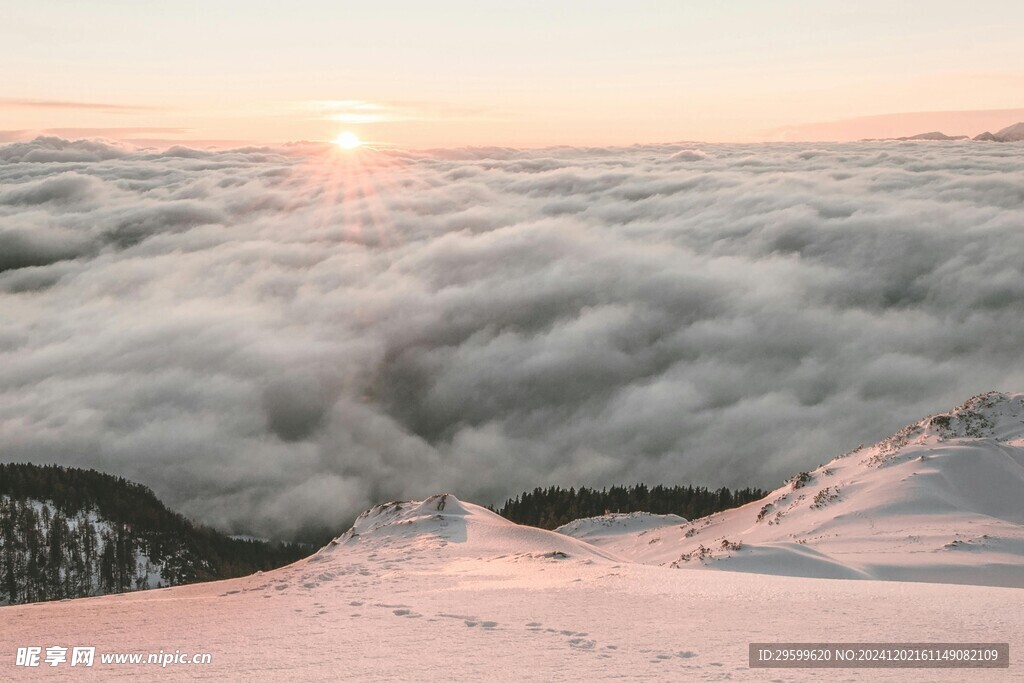 雪山  