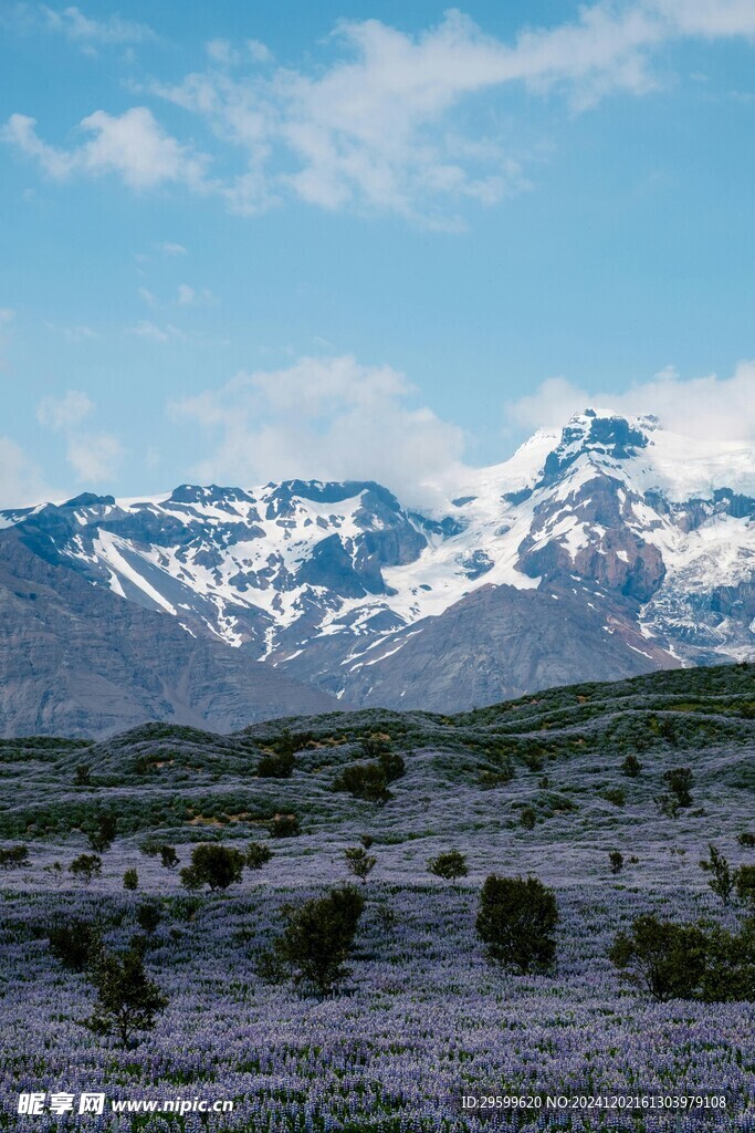 雪山  