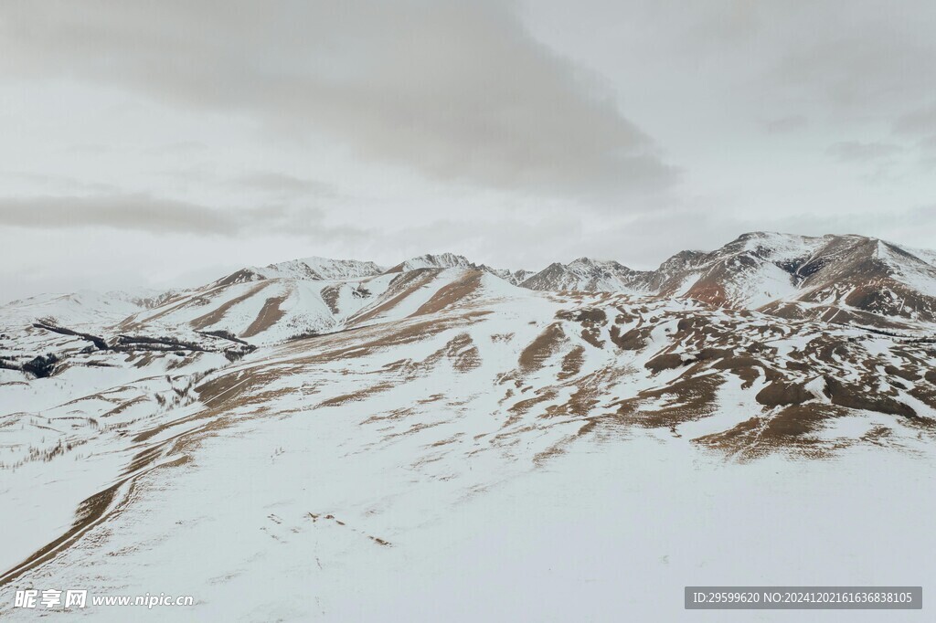 雪山 