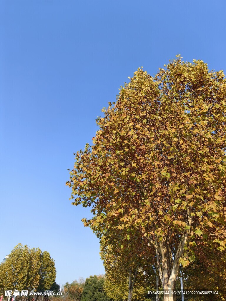 天空