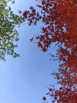 天空