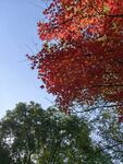 天空