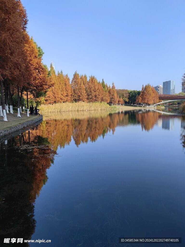 湖面