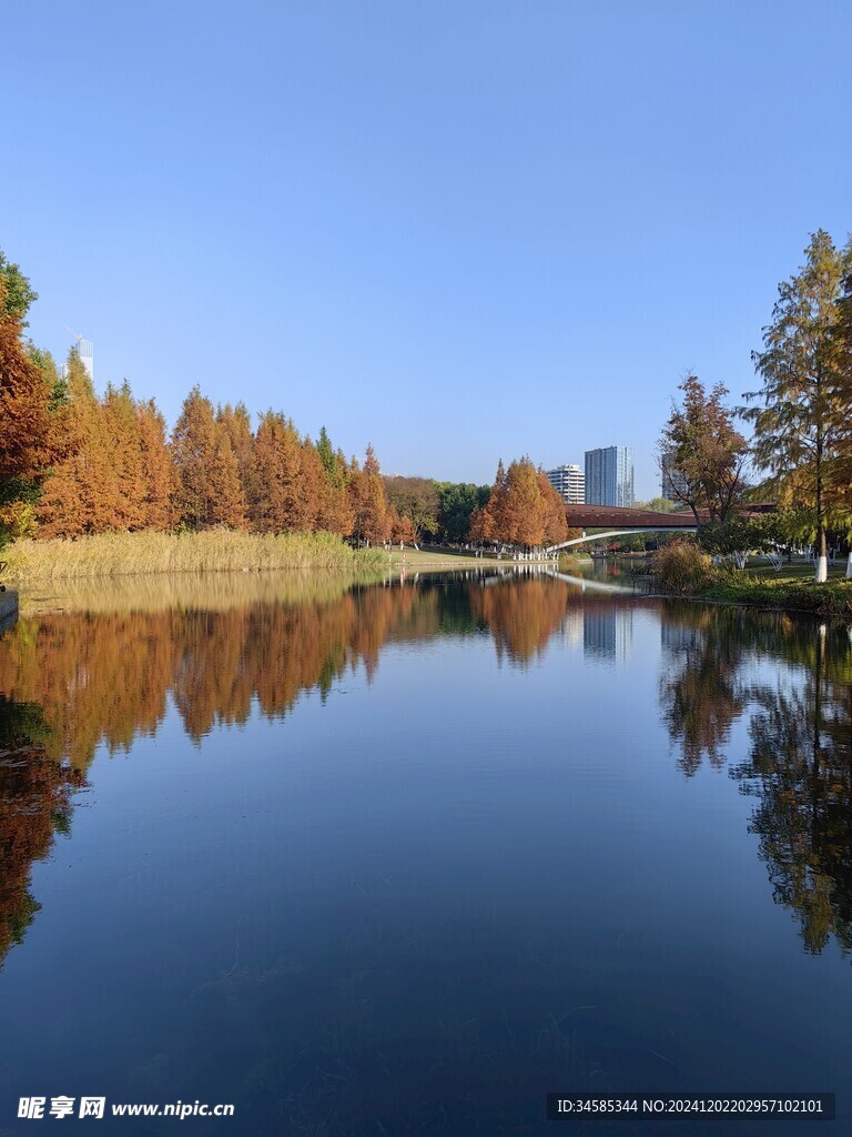 湖面