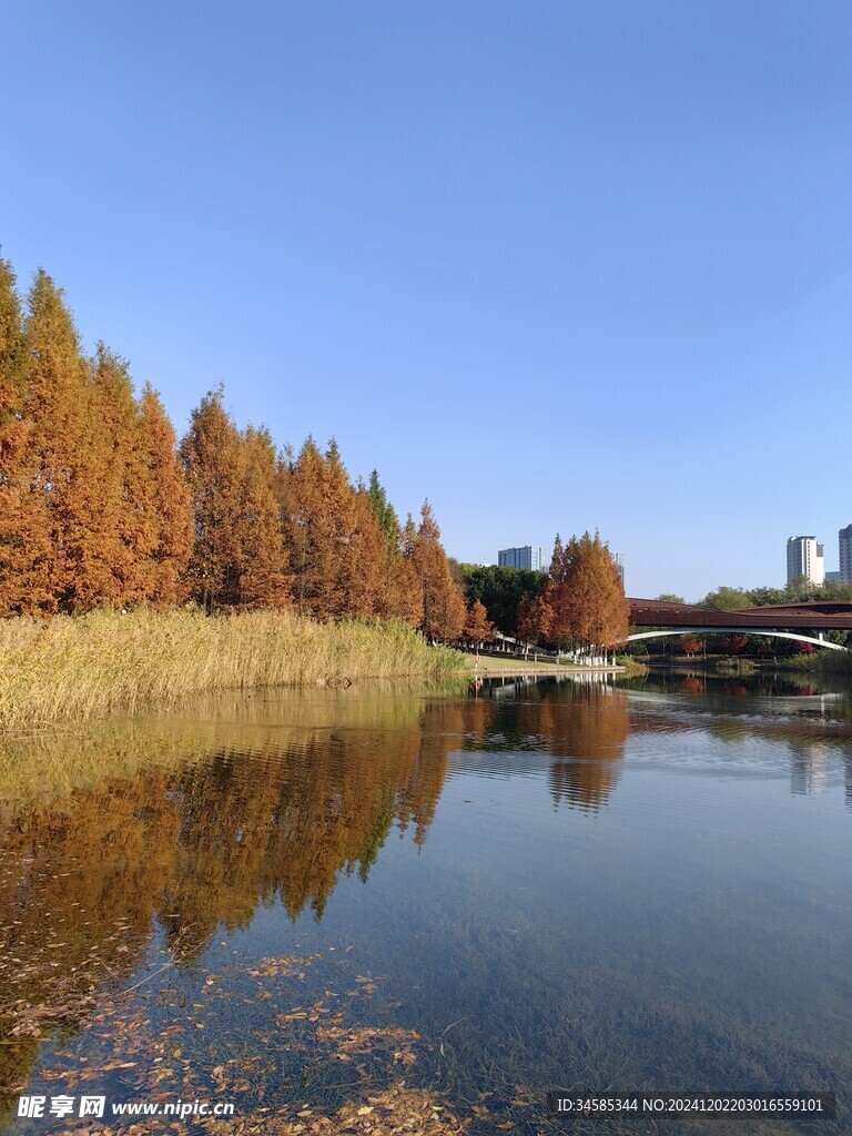 天空