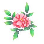 花植物