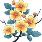 黄花