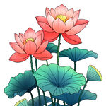 莲花 