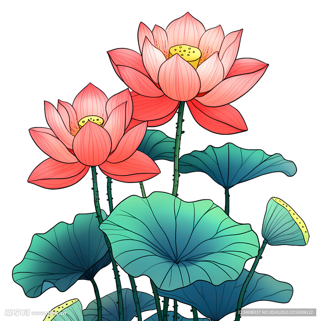 莲花 