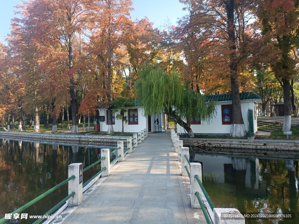 水岸景观