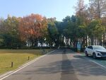园林景观