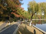 水岸景观