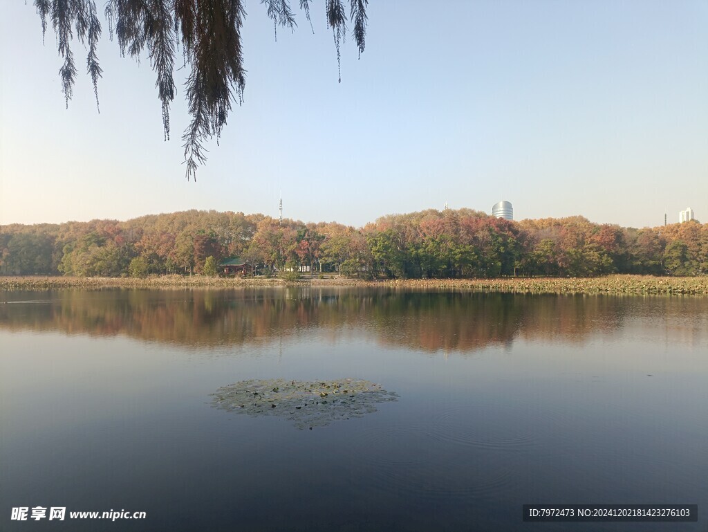 水岸景观