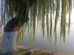 东湖绿道