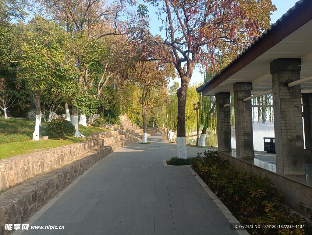 绿化景观