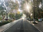 绿化景观