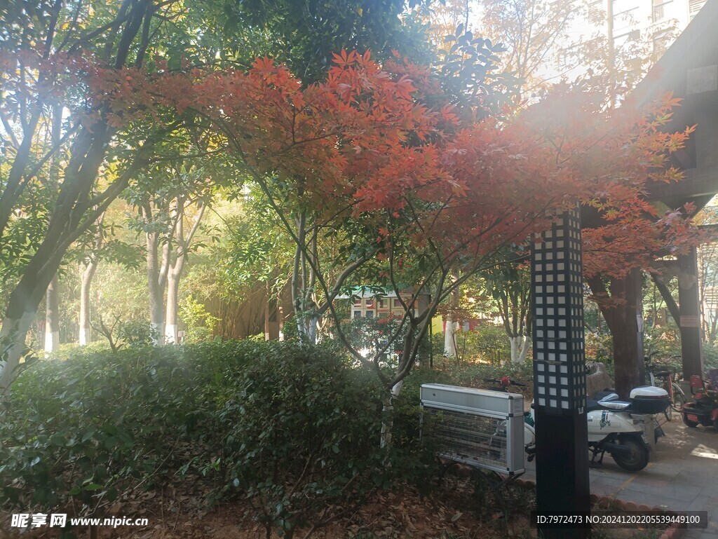园林景观