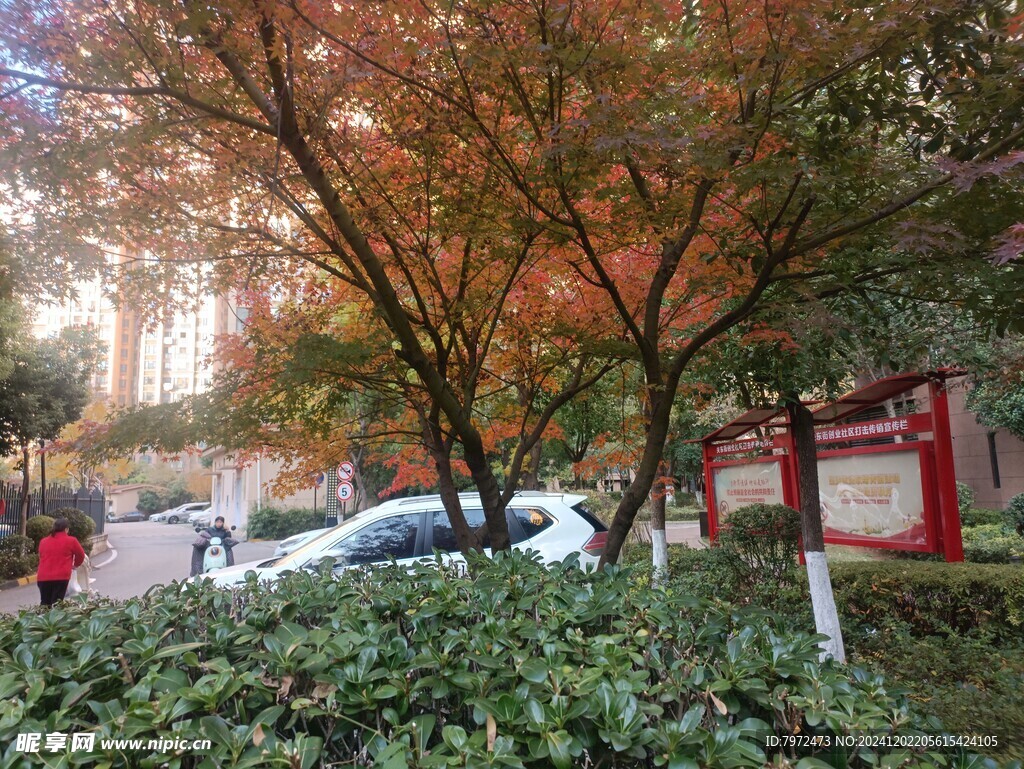 园林景观