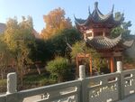 园林景观