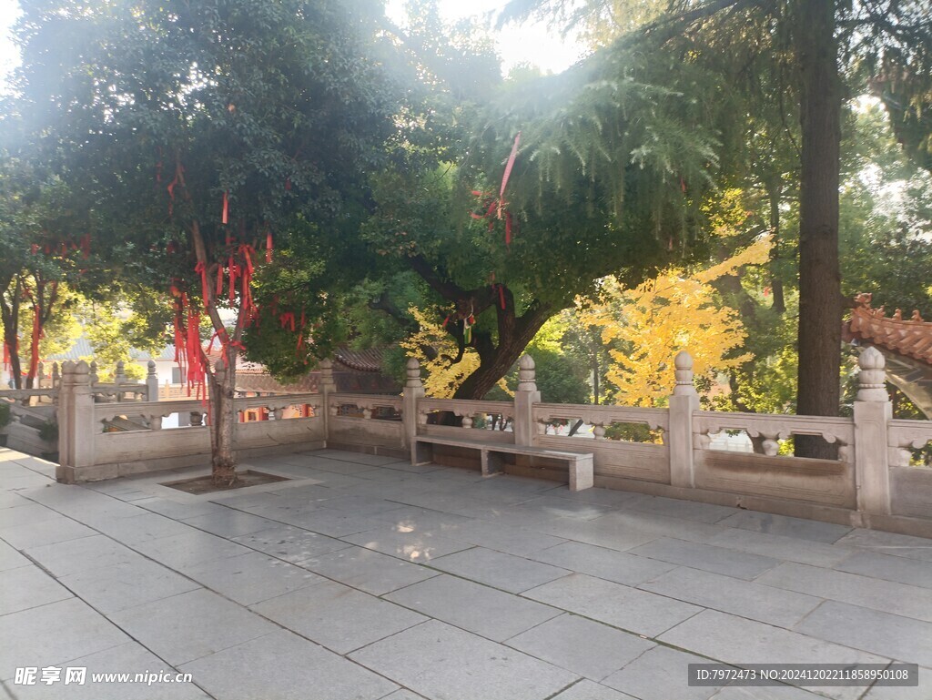 园林景观