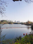 湖景公园