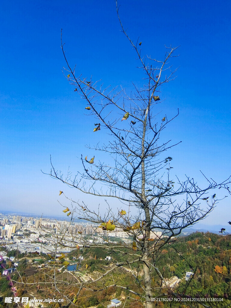 蓝天美景摄影