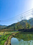 田间风景