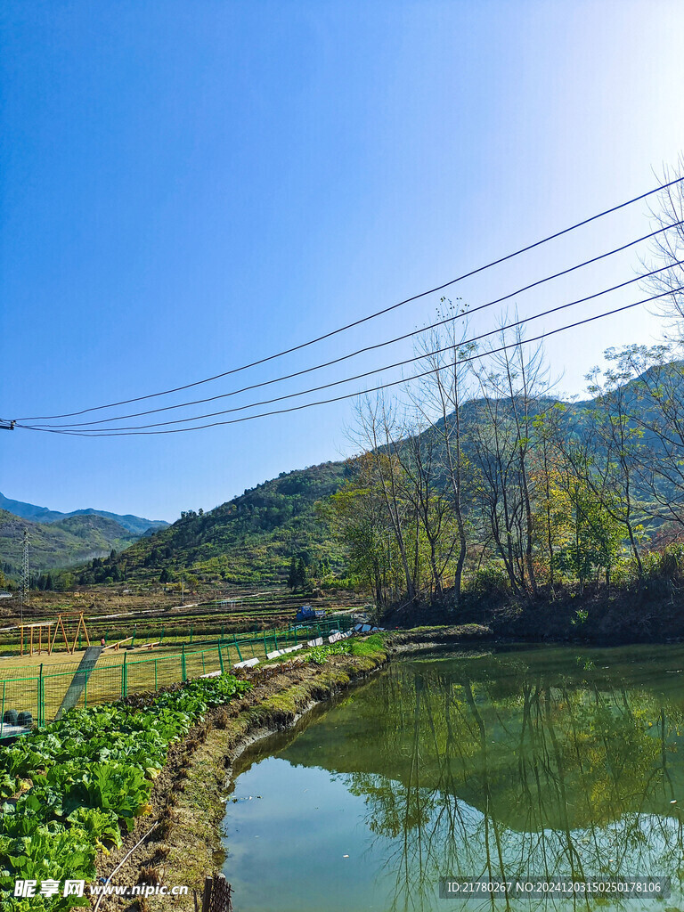 田间风景