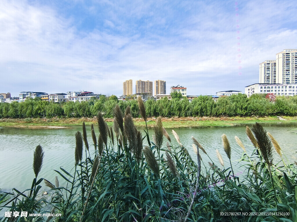 河岸风景