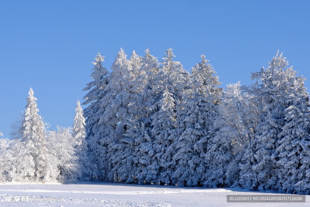 冬季蓝色天空雪地