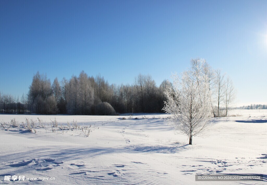 冬季白茫茫雪地