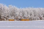 冬季白茫茫雪地