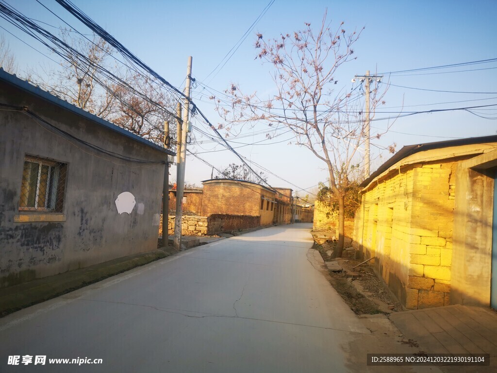 乡村小路