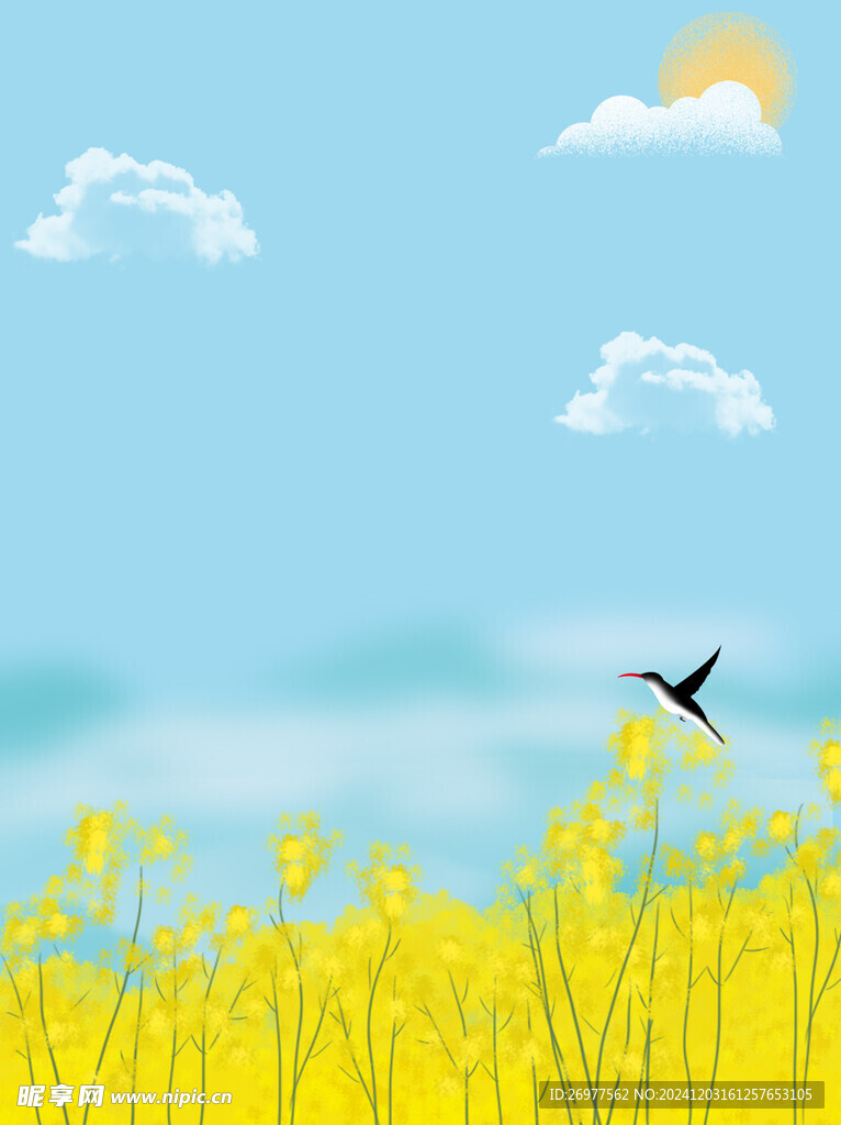  油菜花 