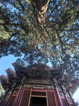 故宫建筑